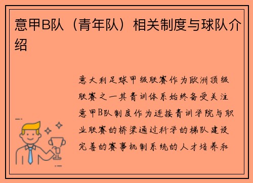 意甲B队（青年队）相关制度与球队介绍