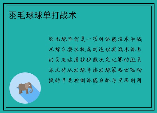 羽毛球球单打战术